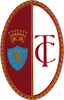 Logo Torino